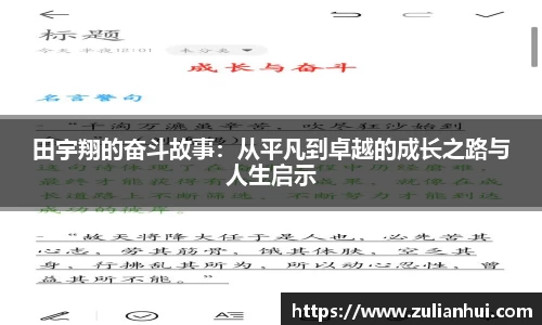 mk体育